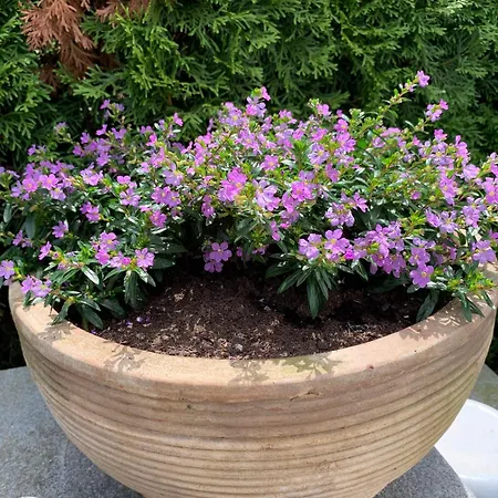 Am Sonnenhang * Хильцинген