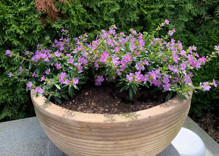 Am Sonnenhang * Hilzingen